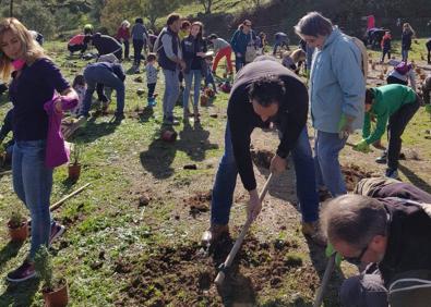 Imagen secundaria 1 - Lanzan 25.000 bombas de semillas en una zona de Casares afectada por el incendio forestal del pasado verano