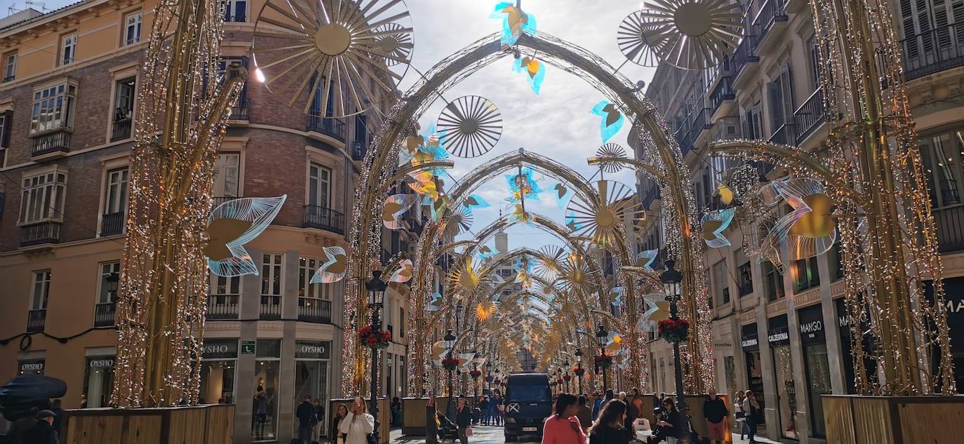 El bosque navideño en el que se convertirá este año la céntrica vía malagueña se encuentra ya listo. Aunque aún habrá que esperar hasta este 29 de noviembre para verlo iluminado.