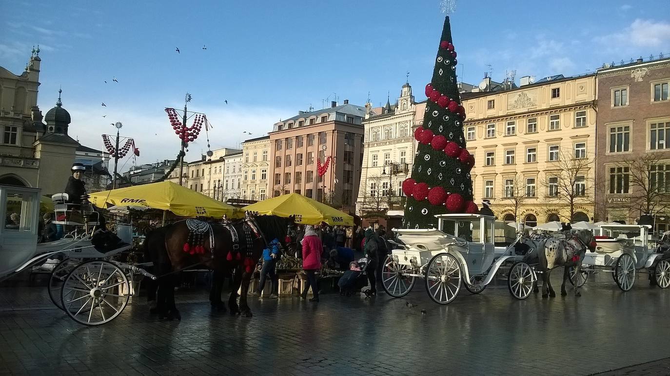 Cracovia