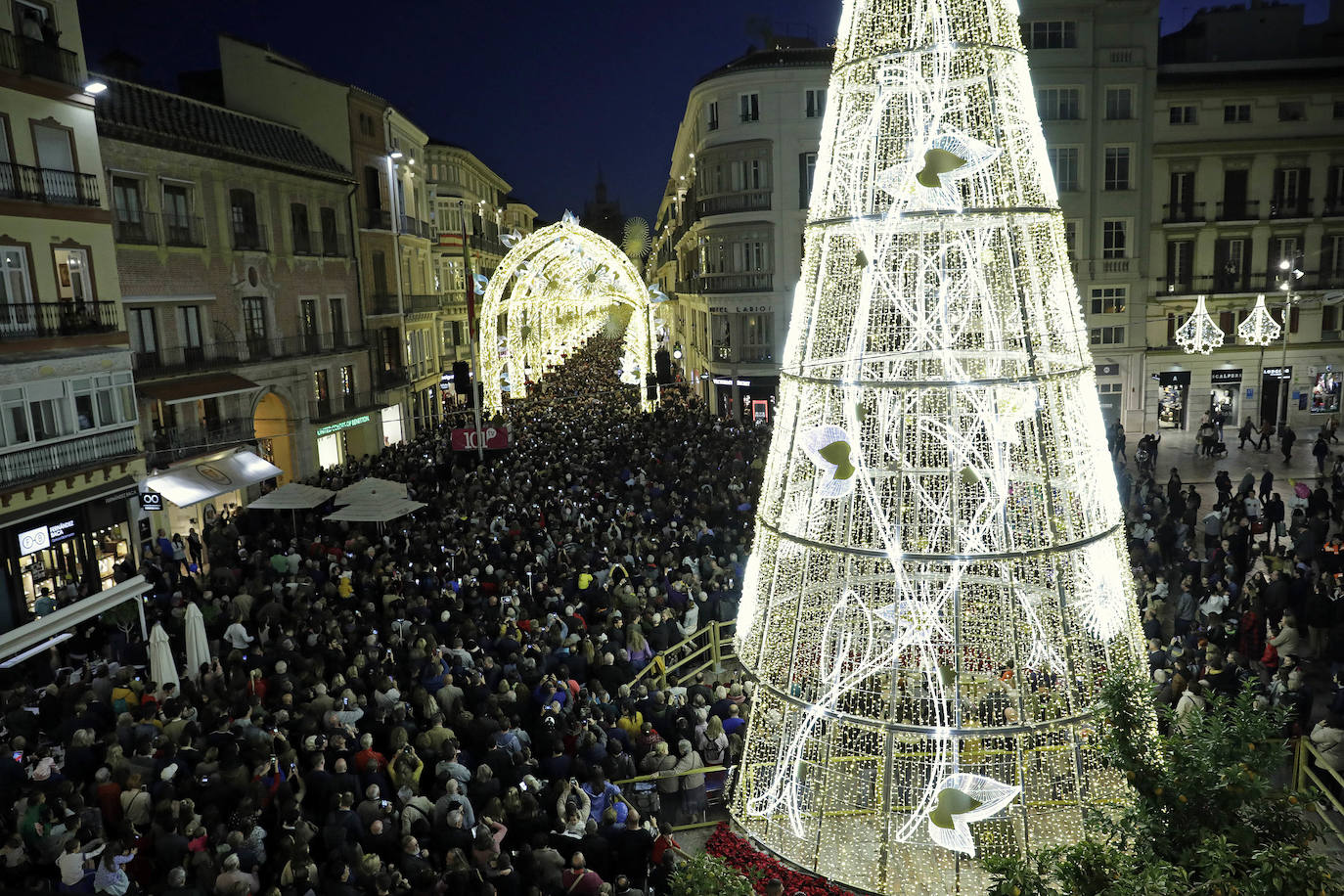 Durante los 40 días que duren los fastos navideños, la calle Larios se transformará en un bosque lleno de hojas y soles