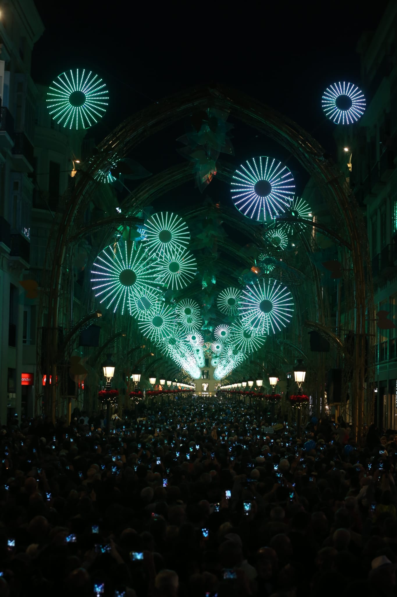 Durante los 40 días que duren los fastos navideños, la calle Larios se transformará en un bosque lleno de hojas y soles