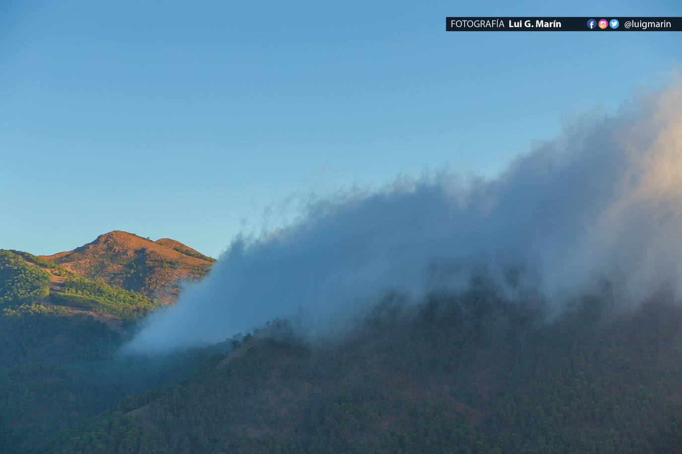 Los tonos ocres, cobrizos y dorados se apoderan, durante estos días de otoño, de los castaños
