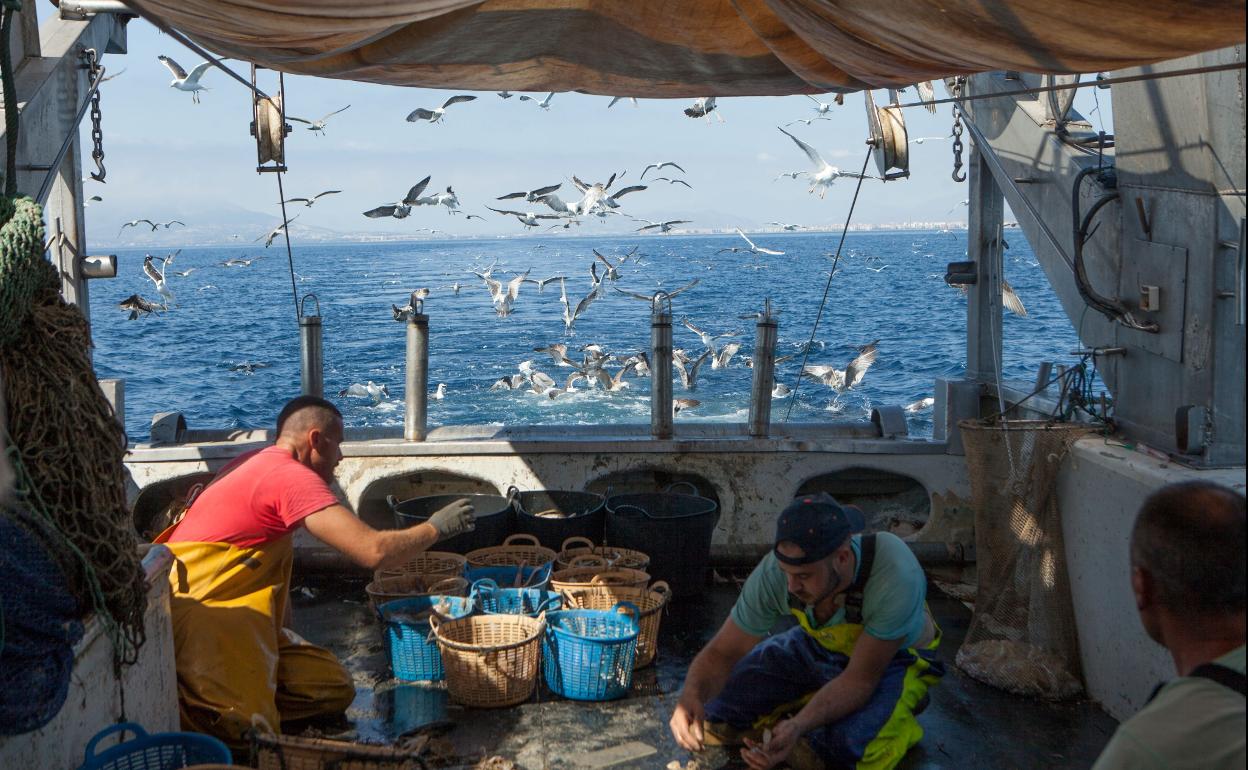 Pescadores clasificando las capturas. 