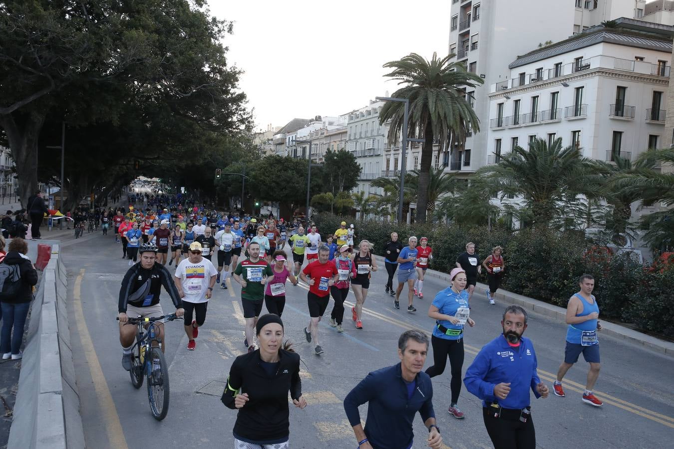 Las mejores imágenes del Maratón Málaga 