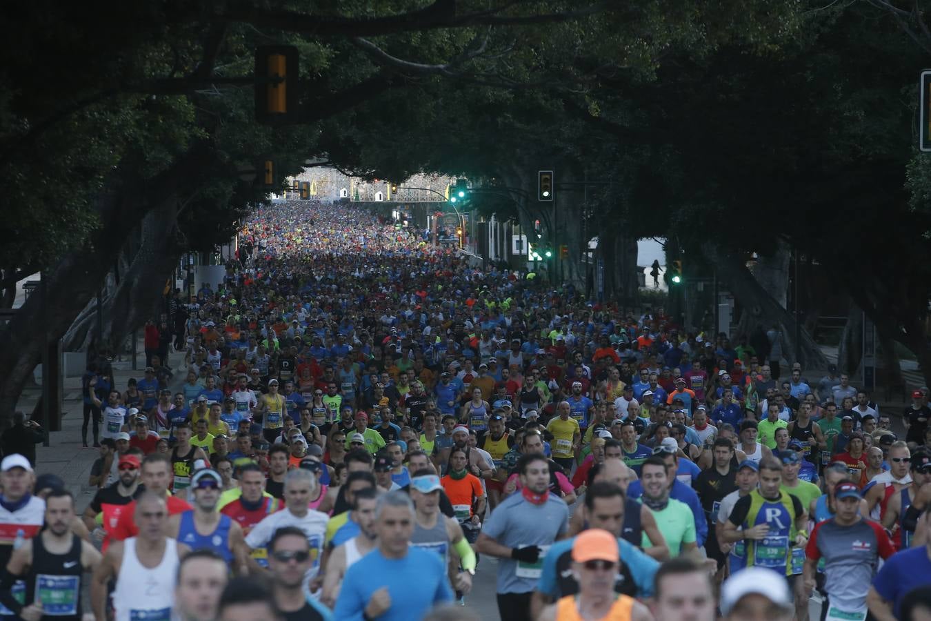 Las mejores imágenes del Maratón Málaga 