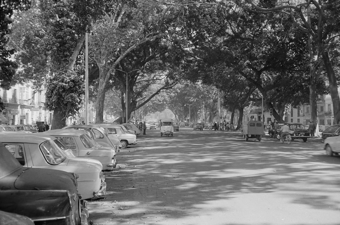 Calzada central de la Alameda. Octubre, 1968.