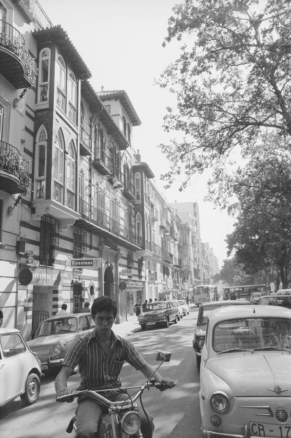 Alameda, calzada lateral norte. Mayo, 1975.