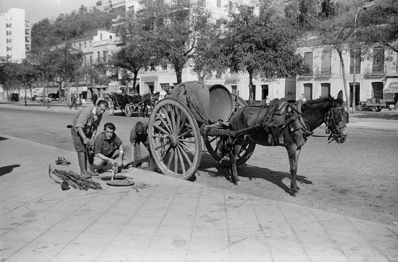 Paseo de Reding. Septiembre, 1963