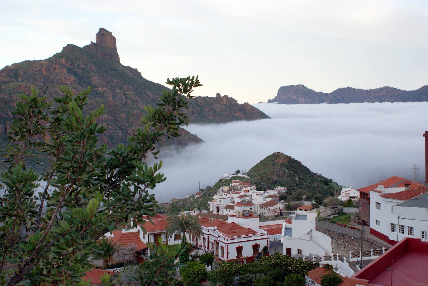 Tejeda (Las Palmas)