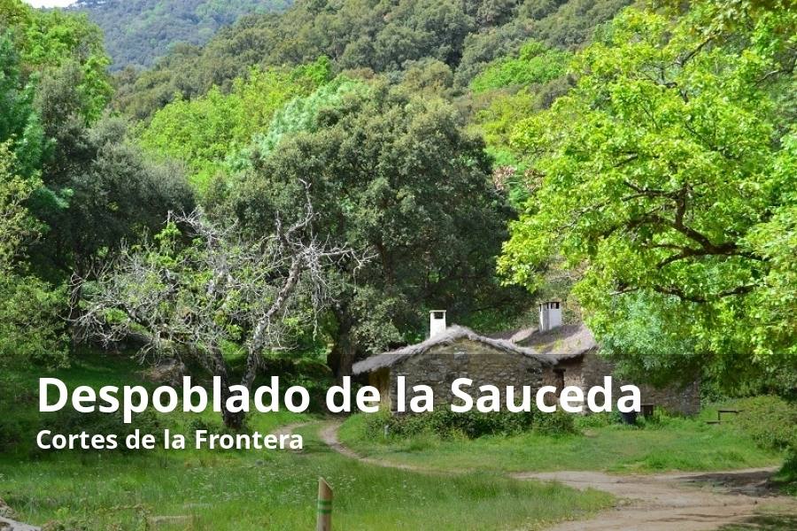 Esta aldea ya no está poblada, pero sirve de singular alojamiento turístico. Se trata de un auténtico refugio rodeado de naturaleza que no hay que descartar en cualquier escapada para relajarse es el complejo rural de La Sauceda, situado en el parque natural de Los Alcornocales. Lo que en su día fue una pequeña población serrana hoy es un complejo rural dotado con varios refugios que permiten el contacto directo con la naturaleza. Está considerado como uno de los últimos bastiones republicanos la Serranía de Ronda que resistió en la Guerra Civil. 