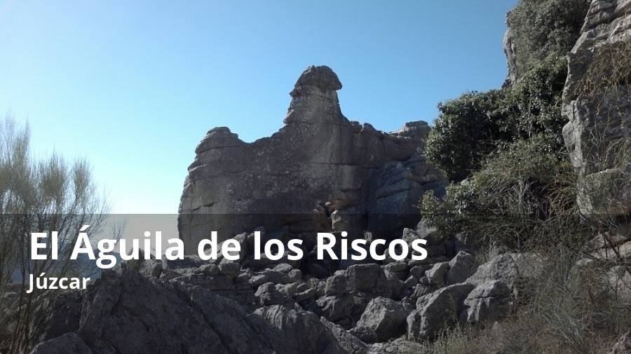 Dentro del ya de por sí espectacular complejo kárstico de Los Riscos de Cartajima y Júzcar sobresalen algunas rocas muy singulares por la forma que ha esculpido la erosión a lo largo de siglos e incluso milenios. Es el caso de la roca conocida como El Águila por su parecido a un ejemplar de esta rapaz -puesta en pie y con las alas desplegadas levemente-. Eso sí, como ocurre en el Torcal de Antequera, no es la única formación rocosa que se asemeja a un animal o un objeto dentro de este enclave rocoso. De hecho, a pocos metros de allí se podrá avistar El Camello.