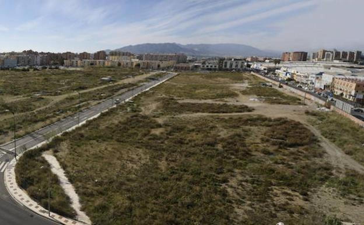 La plataforma Bosque Urbano Málaga rechaza el plan del Ayuntamiento para los terrenos de Repsol