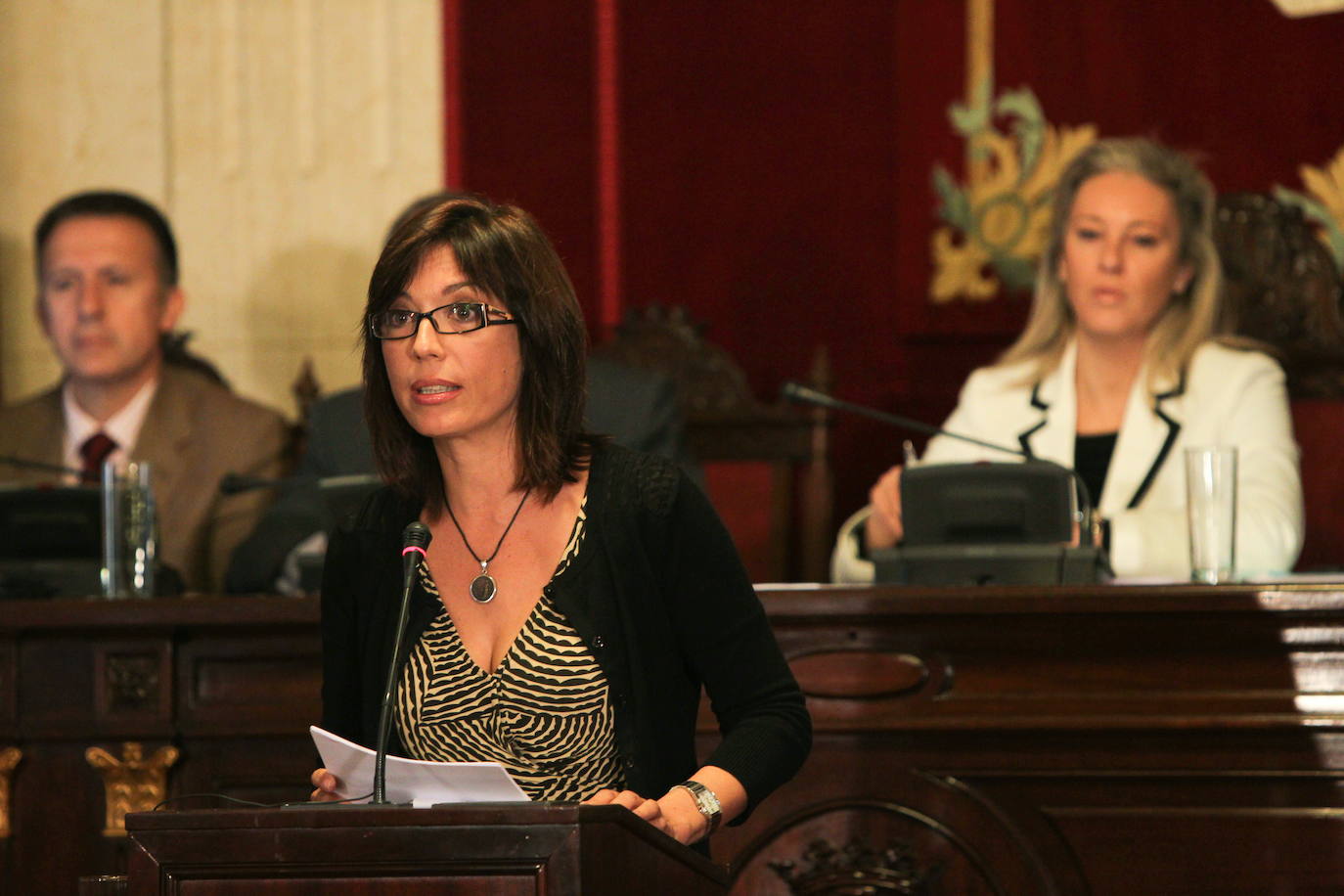 María Gámez ha ocupado varios cargos en Málaga desde que en 2004 fue nombrada delegada provincial de la Consejería de Innovación, Ciencia y Empresa. En la actualidad es subdelegada del Gobierno en Málaga 