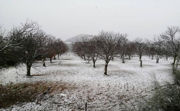 Así está nevando en la Serranía de Ronda