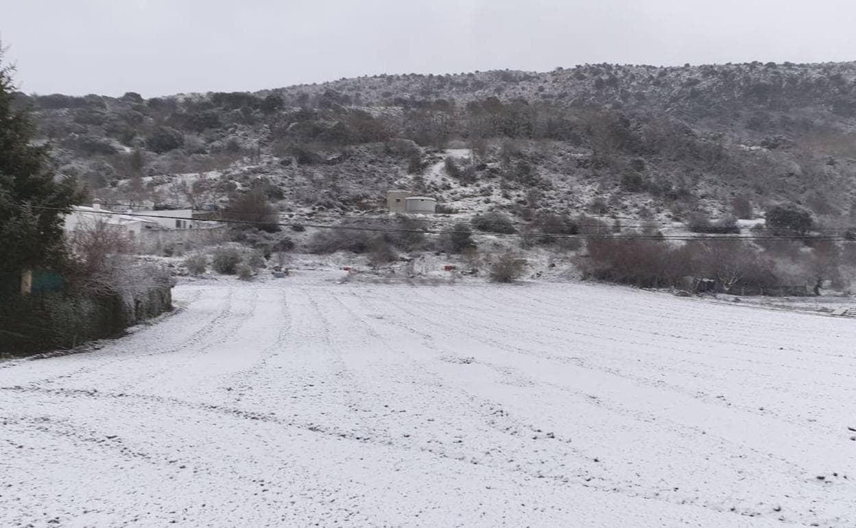 Capa de nieve esta mañana en el entorno de Zafarraya, en la alta Axarquía. 