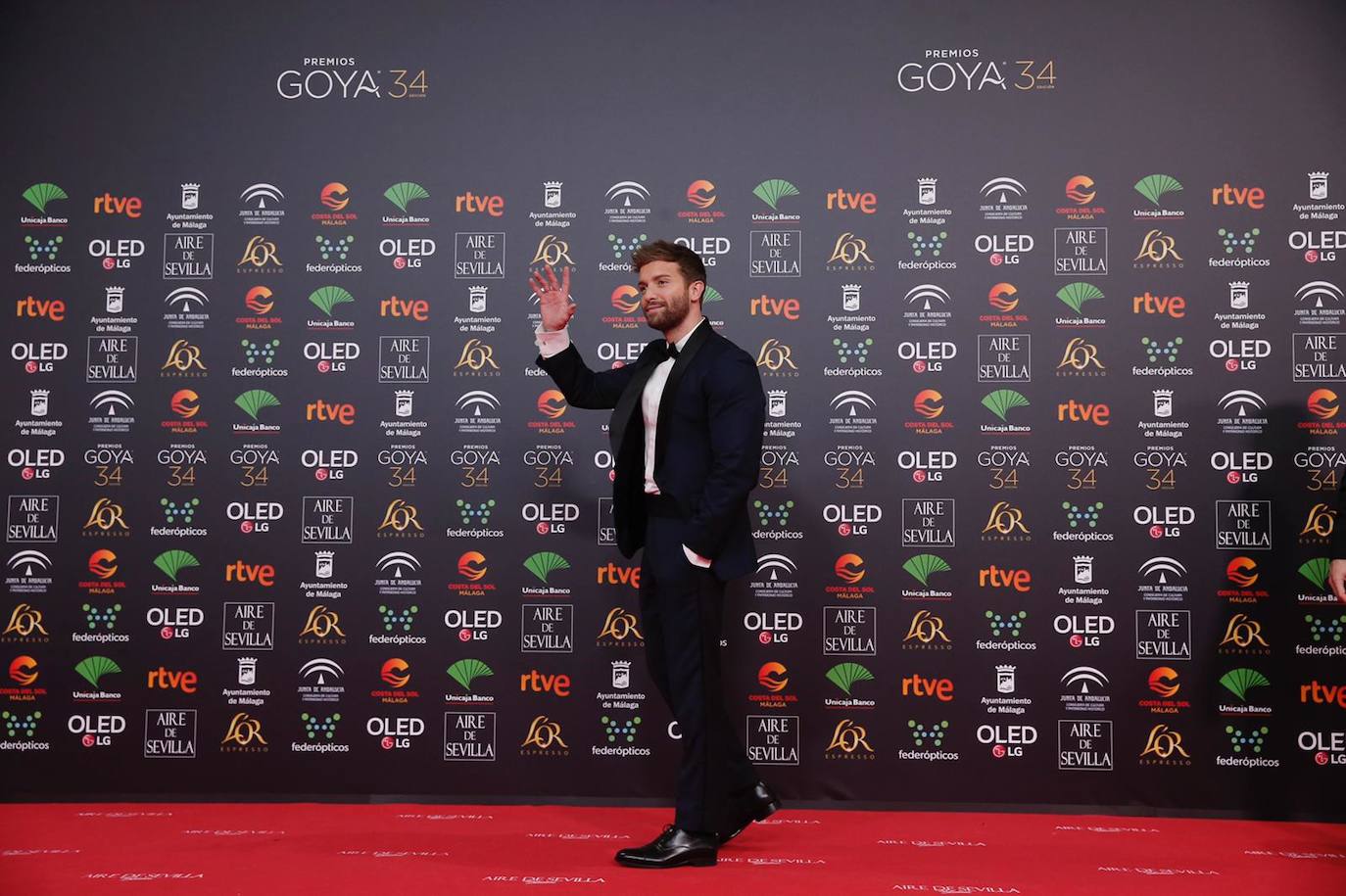 La jornada de los premios Goya que acoge el palacio de los Deportes José María Martín Carpena, en imágenes. 