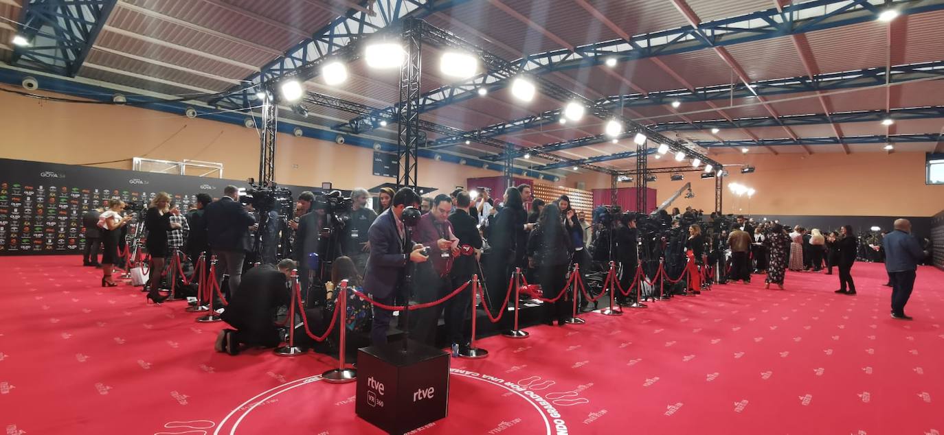 La jornada de los premios Goya que acoge el palacio de los Deportes José María Martín Carpena, en imágenes. 