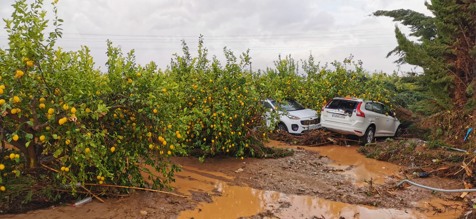 Efectos de las últimas lluvias en Campanillas. En Málaga se mantiene el aviso naranja este sábado.