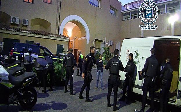 Recuento de las plantas intervenidas en dependencias policiales.