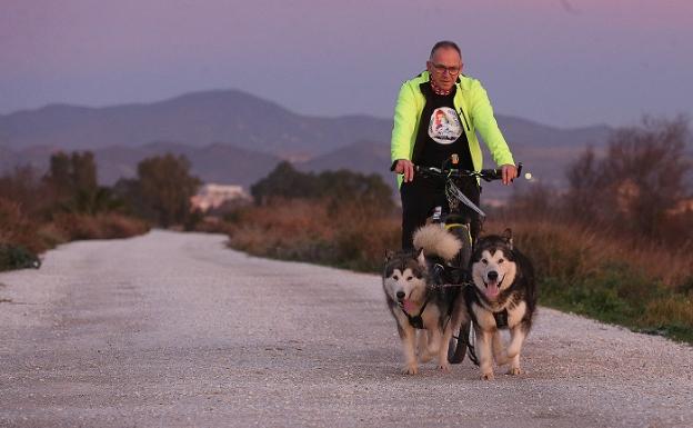 Manuel entrena con una bicicleta que simula el trineo del que sus perros tendrán que tirar en Alaska. 