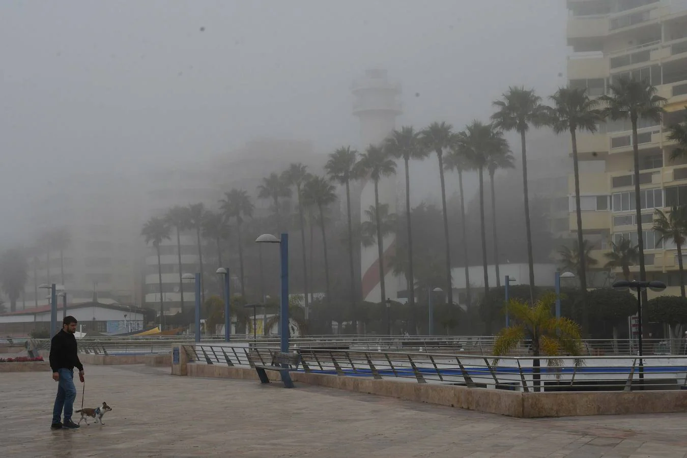 Marbella ha amanecido bajo el manto del taró, una palabra de origen fenicio que se refiere a la también llamada boria, esto es, niebla de advección marítima 