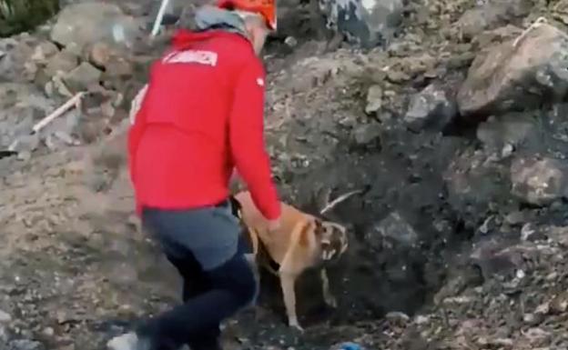 Bomberos y ertzainas continúan con la búsqueda de dos personas