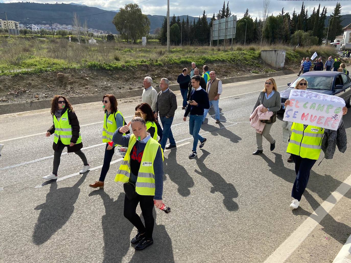 Las manifestaciones de agricultores y ganaderos que están recorriendo España desde el pasado mes de enero para protestar contra los bajos precios del aceite de oliva y de los productos hortofrutícolas han llegado a la provincia con una gran tractorada en el municipio de Antequera.