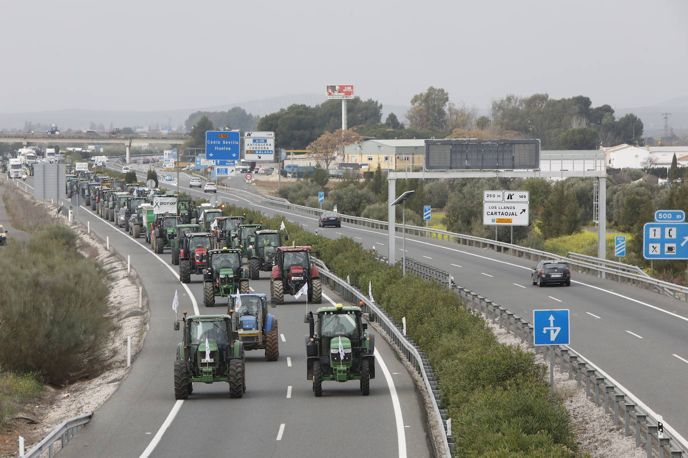 Las manifestaciones de agricultores y ganaderos que están recorriendo España desde el pasado mes de enero para protestar contra los bajos precios del aceite de oliva y de los productos hortofrutícolas han llegado a la provincia con una gran tractorada en el municipio de Antequera.