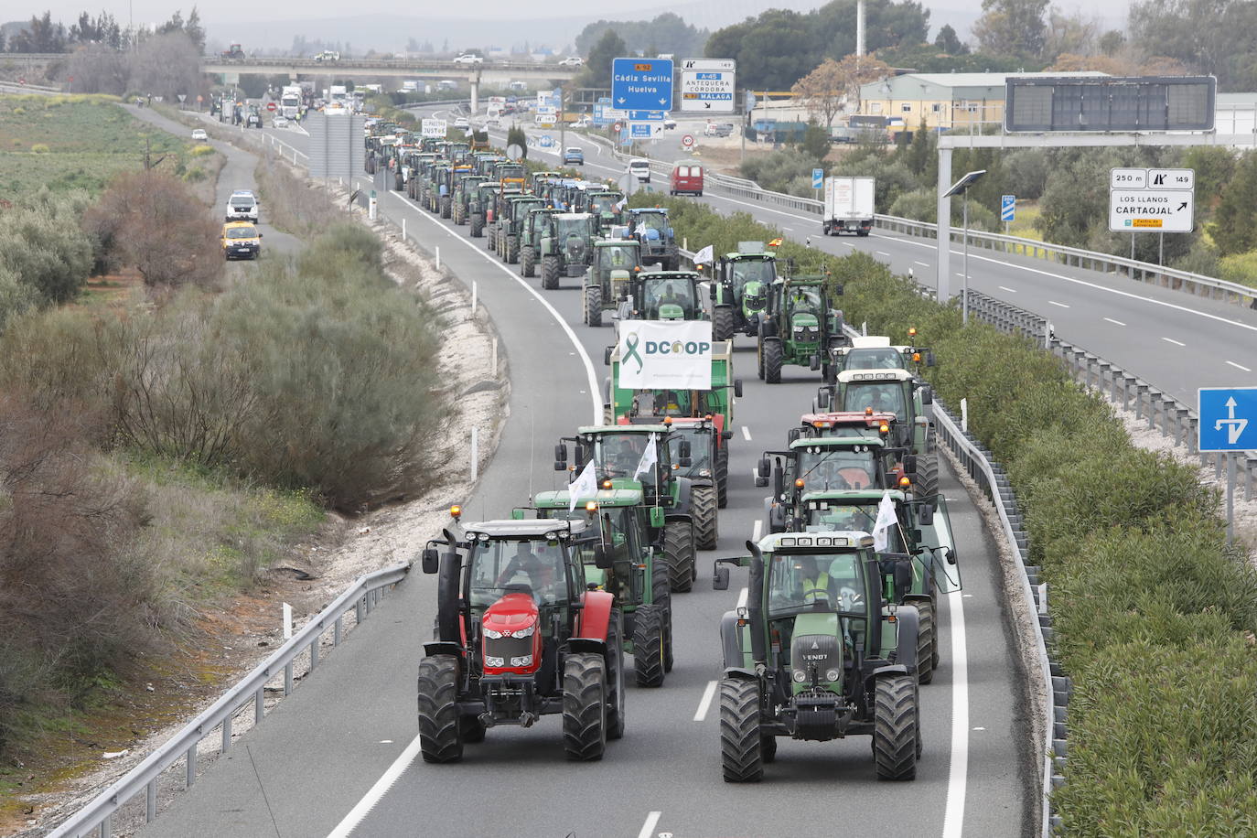 Las manifestaciones de agricultores y ganaderos que están recorriendo España desde el pasado mes de enero para protestar contra los bajos precios del aceite de oliva y de los productos hortofrutícolas han llegado a la provincia con una gran tractorada en el municipio de Antequera.