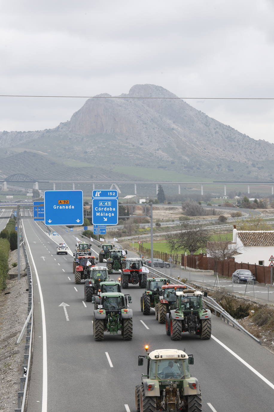 Las manifestaciones de agricultores y ganaderos que están recorriendo España desde el pasado mes de enero para protestar contra los bajos precios del aceite de oliva y de los productos hortofrutícolas han llegado a la provincia con una gran tractorada en el municipio de Antequera.