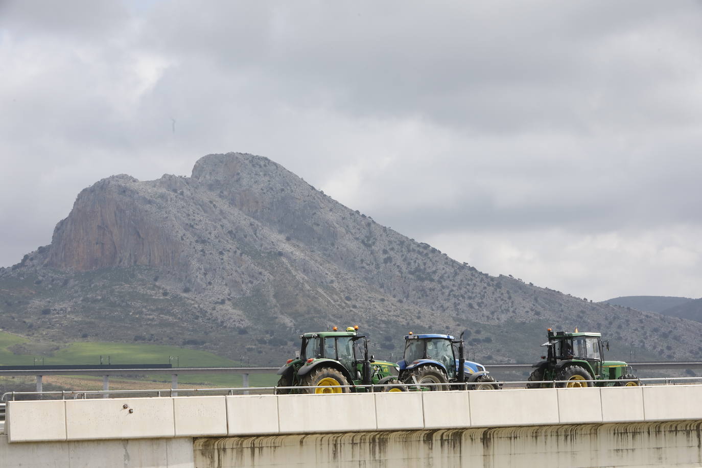 Las manifestaciones de agricultores y ganaderos que están recorriendo España desde el pasado mes de enero para protestar contra los bajos precios del aceite de oliva y de los productos hortofrutícolas han llegado a la provincia con una gran tractorada en el municipio de Antequera.