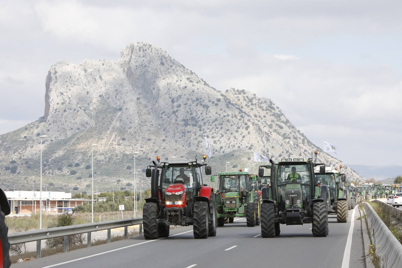 Las manifestaciones de agricultores y ganaderos que están recorriendo España desde el pasado mes de enero para protestar contra los bajos precios del aceite de oliva y de los productos hortofrutícolas han llegado a la provincia con una gran tractorada en el municipio de Antequera.