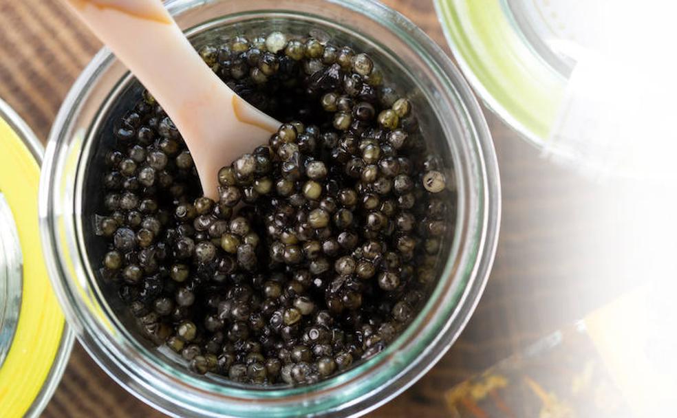 Misterios del esturión y el caviar