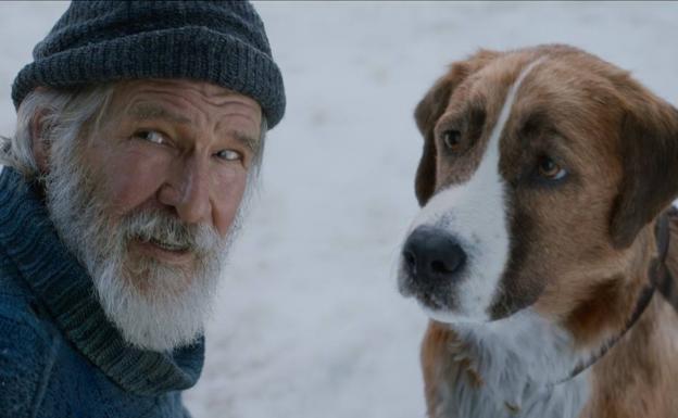 Harrison Ford junto a Buck, el San Bernardo digital que protagoniza 'La llamada de lo salvaje'.