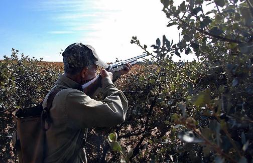 Un cazador, en un puesto de zorzales.SUR 