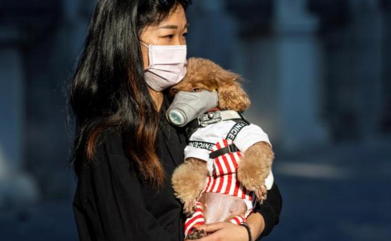 Frente al coronavirus: lavarse las manos, funciona; la mascarilla, sólo si se tienen síntomas