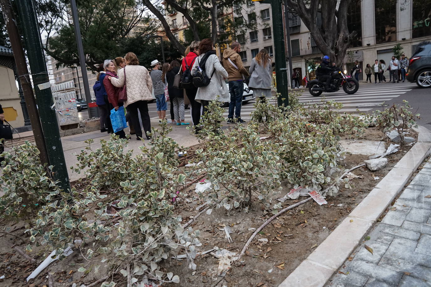 Fotos: Las zonas verdes de la nueva Alameda Principal, muy deterioradas