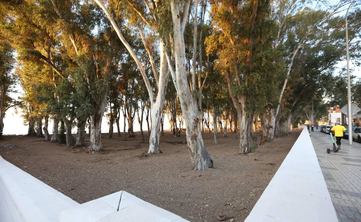 El espacio del antiguo 'camping' ya tiene un arreglo temporal a la espera del diseño definitivo. 