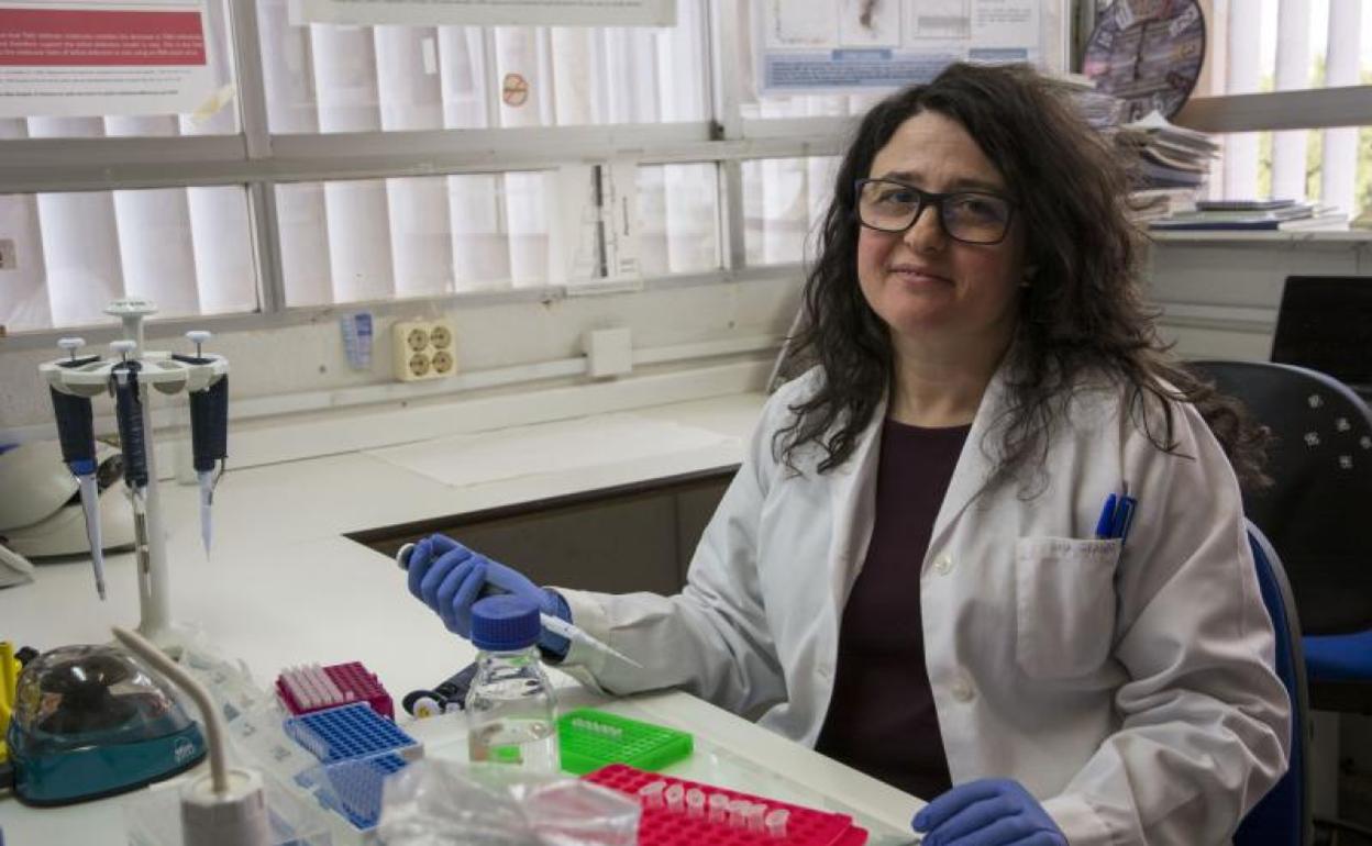 La profesora Ana Grande, en el laboratorio de Genética de la UMA, con muestras en una pipeta electrónica. 