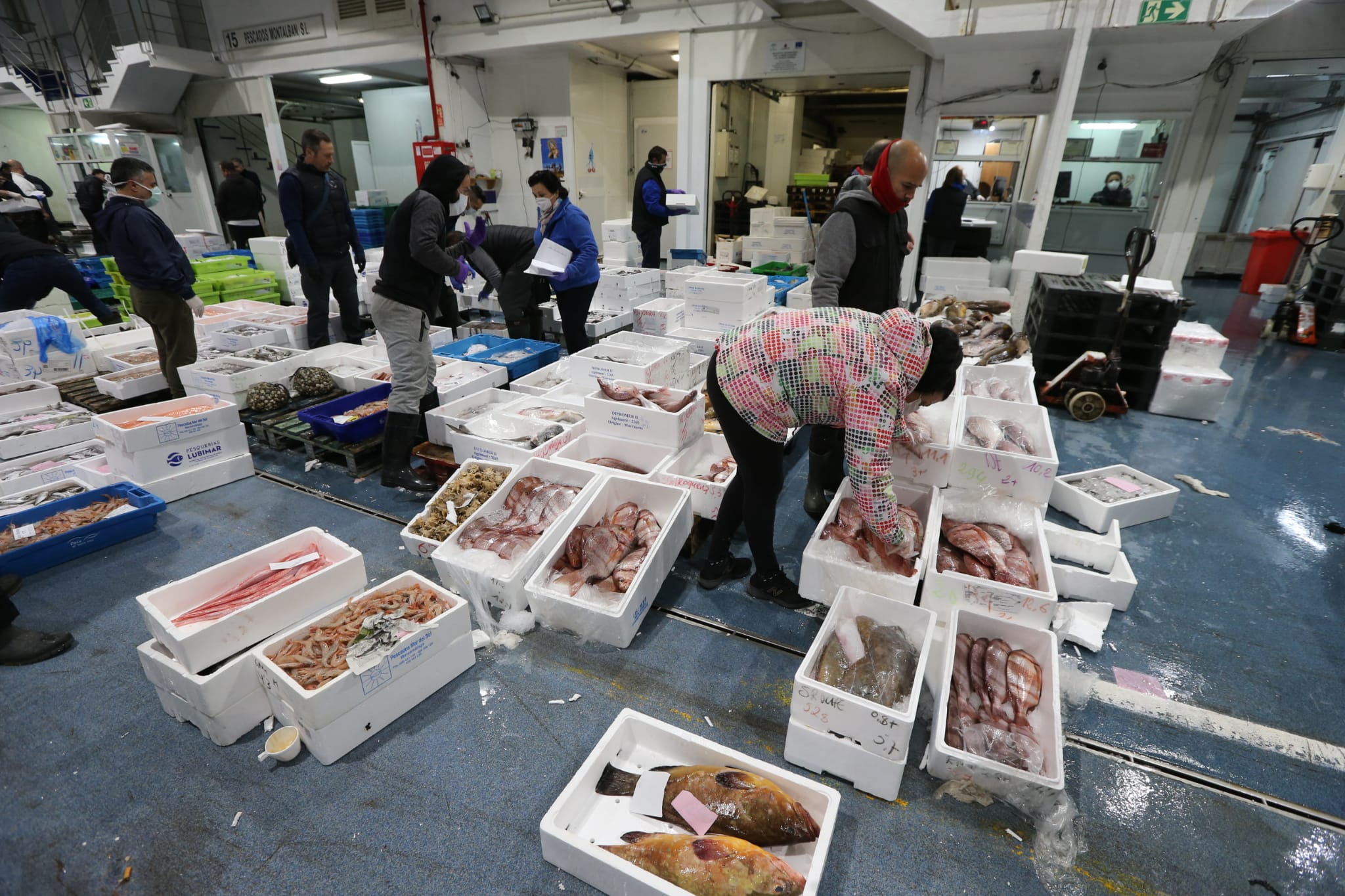 Situación en el mercado mayorista.