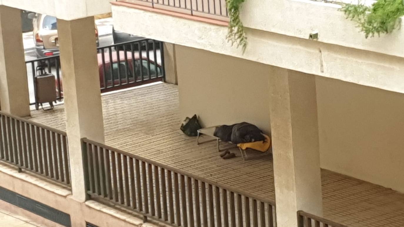 Ambiente en las calles de Estepona