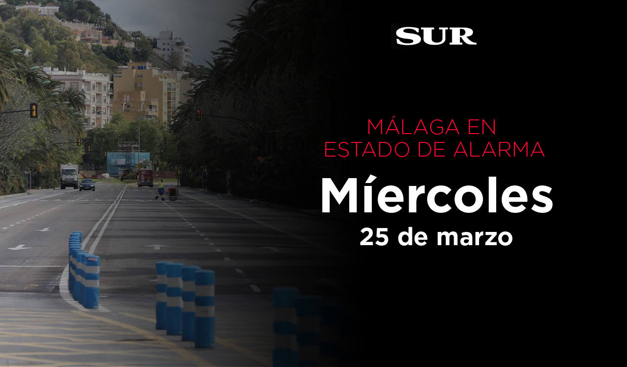 Malagueños haciendo la compra con sus mascarillas.