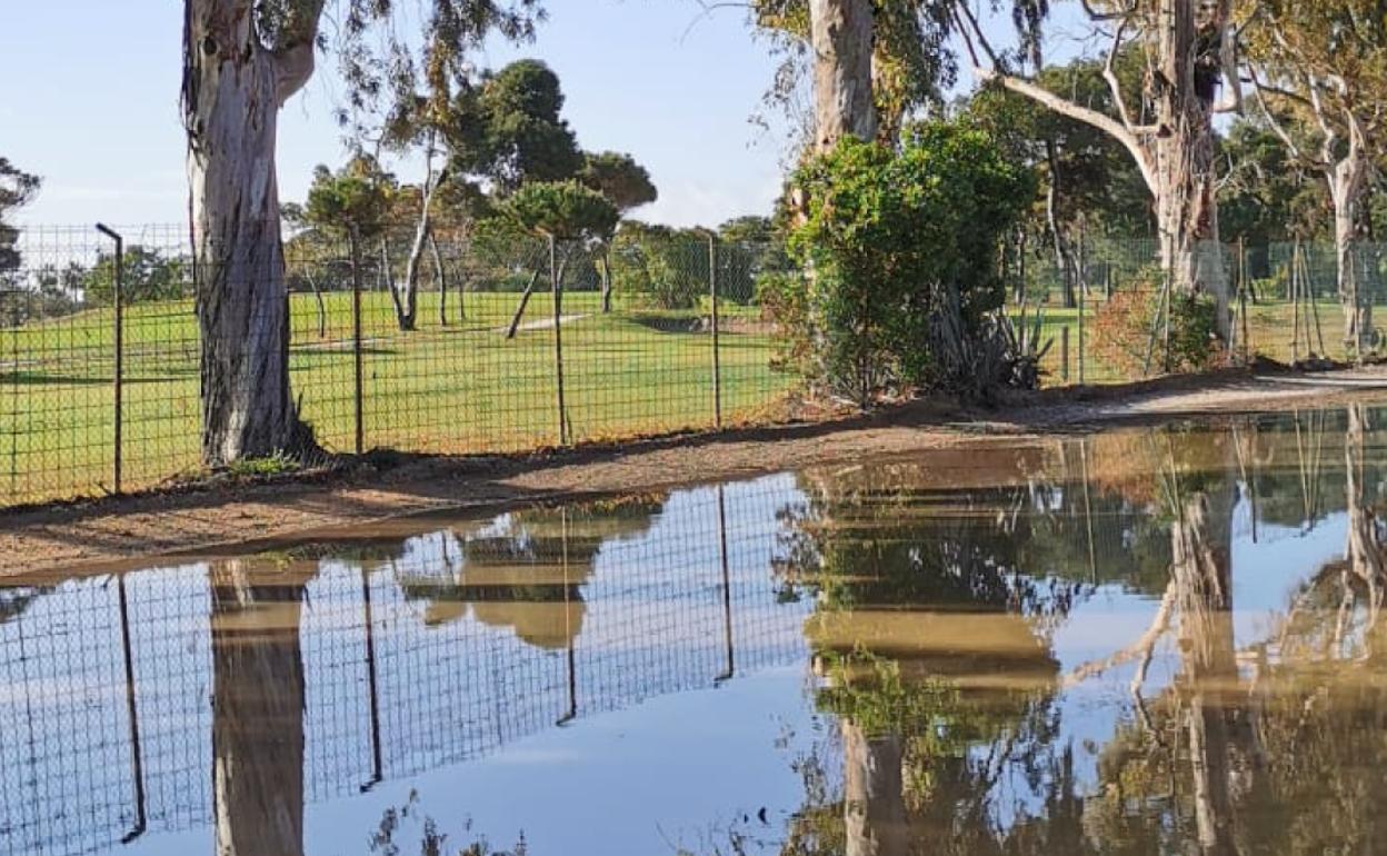 Charco producido por las lluvias recientes junto al campo de golf de Guadalmar. 