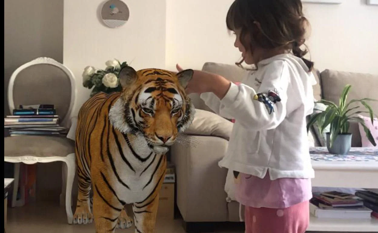 Cómo usar el truco de Google para ver un tigre y otros animales en 3D con  tu cámara
