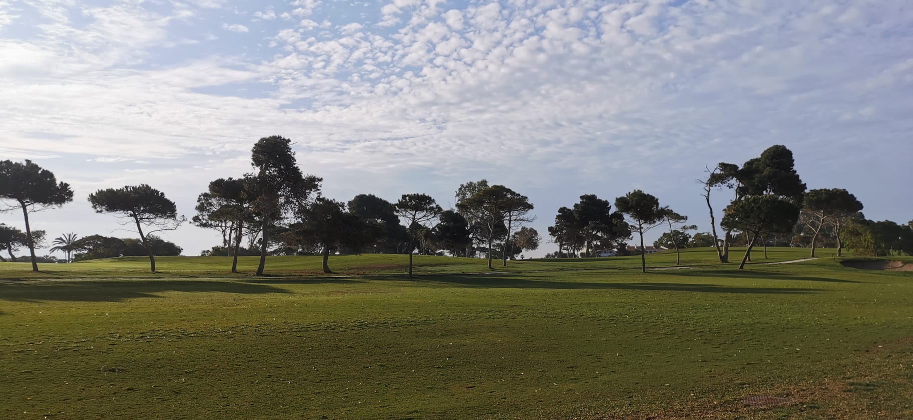 La Málaga vaciada: así se muestra una capital en Estado de Alarma