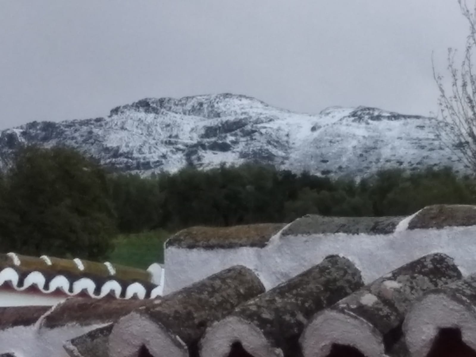 El frente deja hasta nueve centímetros de manto blanco por encima de los 900 metros de altitud. Nieve, esta mañana en El Torcal de Antequera.