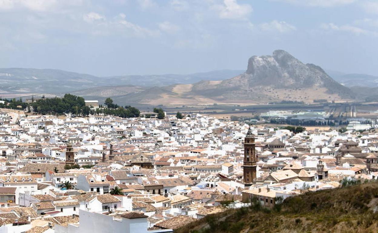 Los hechos se produjeron en un huerto del municipio de Antequera. 