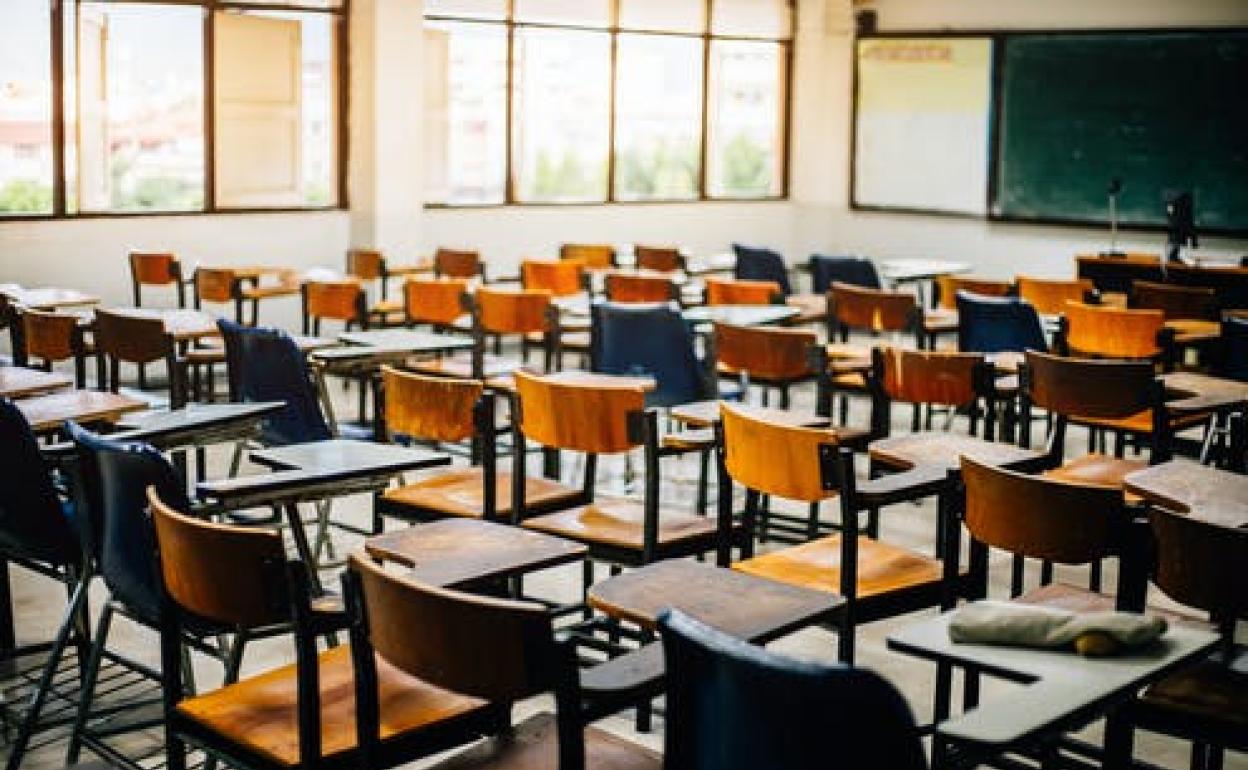 ¿seremos capaces de gestionar los cambios inducidos sobre la educación en estas semanas? | diario sur