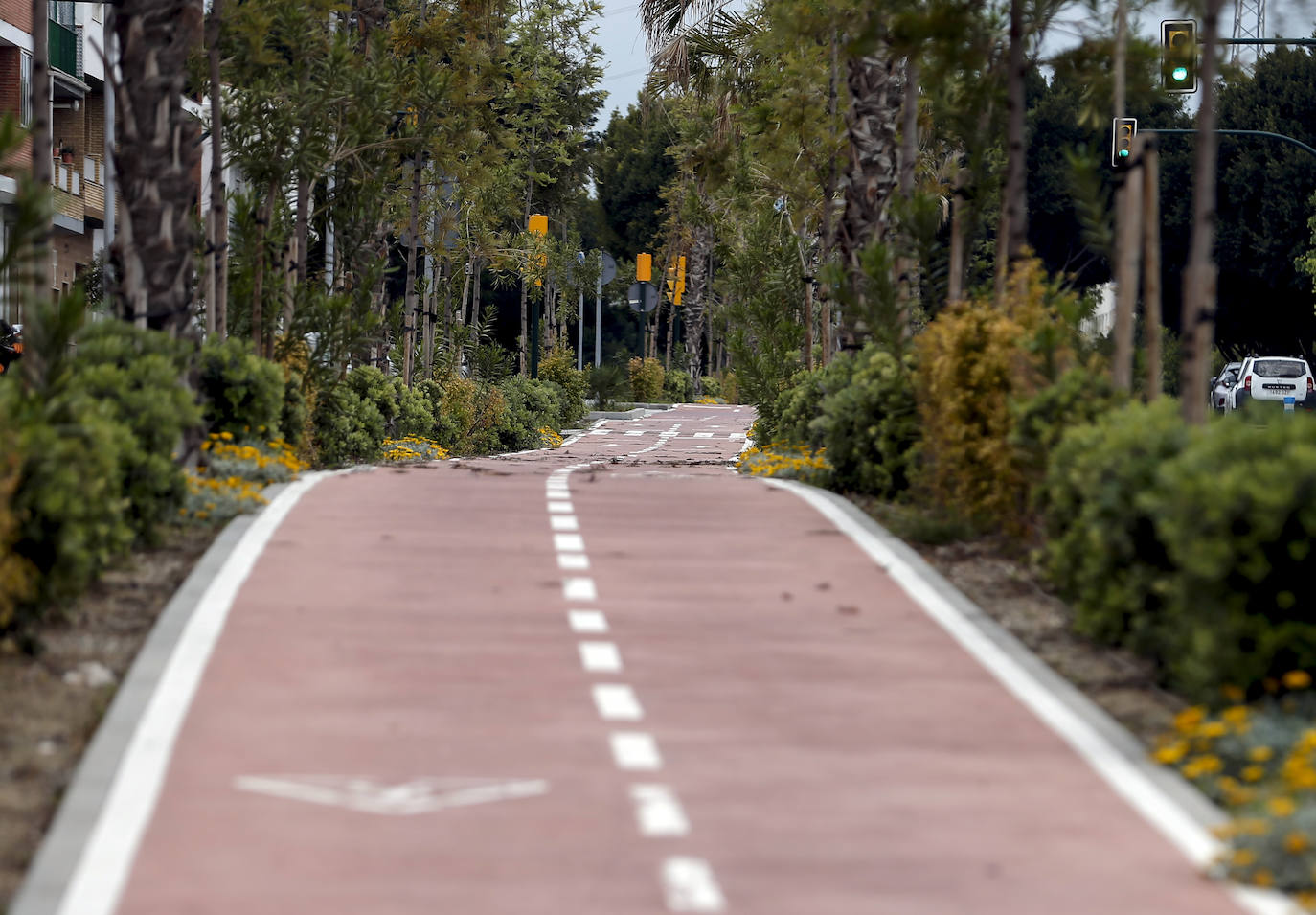 El estado de alarma deja estampas inéditas. Carril bici de la avenida Plutarco