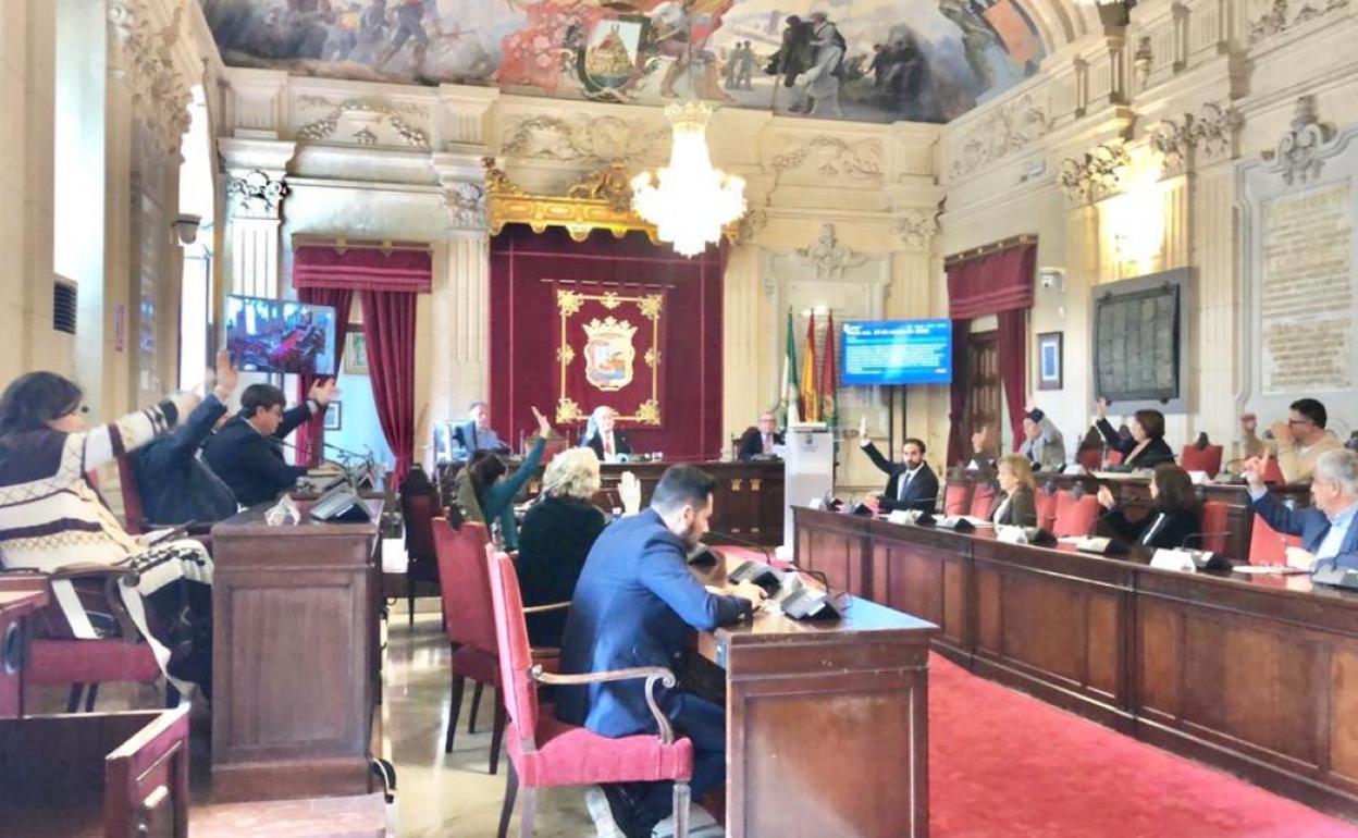 Imagen del último pleno presencial realizado durante el confinamiento.